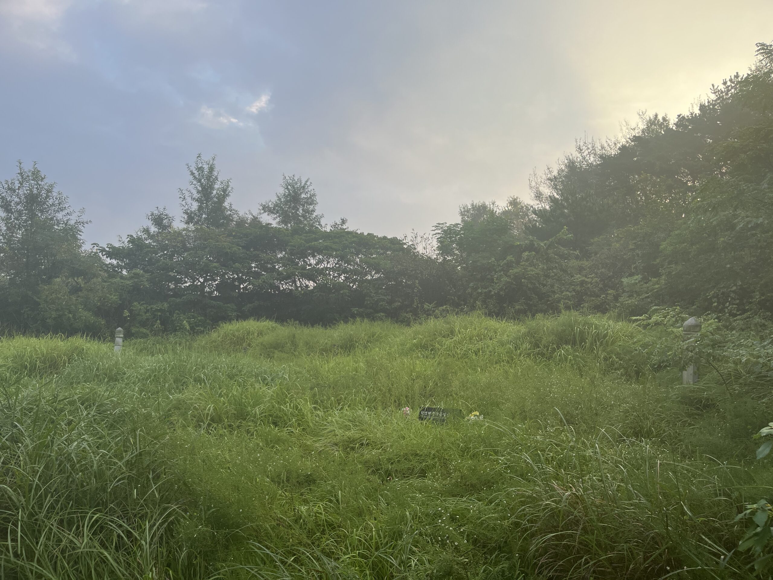 시공 전후 사례 1